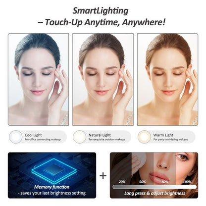 Portable 3-Color LED Makeup Bag with Detachable Mirror